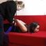 Isi´s first hogtie
