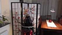 Miss Francine get bound and gagged in 