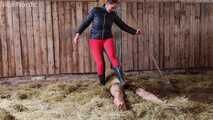 Stable slave in manure