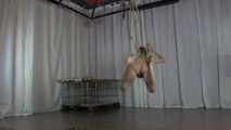 Selfsuspension by Wendy