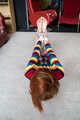 Amber hogtied in Sweater and Barefeet