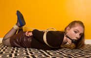 Littlestone Quinn in Office Hogtie