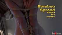 Bamboo Spread - video (bts), part 3 of 3