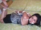 Hogtie Trouble