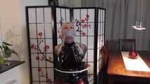 Miss Francine get bound and gagged in 