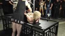 30 Minutes Hogtie Endurance Challenge - Tied in Public - Dee Williams tied by Rija Mae