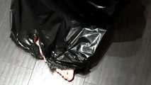 [From archive] Stella - ball taped and packed into the trash bag