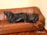 [From archive] Stella - hogtaped and packed into the trash bag