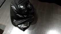 [From archive] Stella - ball taped and packed into the trash bag
