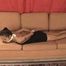 Video : Hogtied asian girl Ann is struggling on the couch in her sexy black dress.