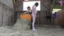 #StrapOn on the straw bale #anal #dildo