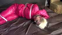 Watching sexy COURTNEY wearing pinj shiny nylon rainwear being tied and gagged with ropes (Video)