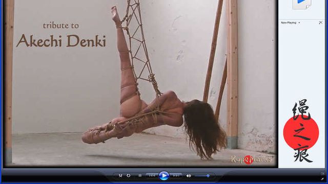 Tribute to Akechi Denki - video