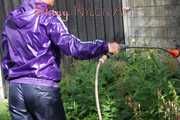 Watching sexy Sandra watering the flowers in the garden and lolling in the sun wearing a sexy blue shiny nylon rain pant and a purple down jacket (Pics)