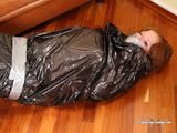 [From archive] Stella - hogtaped and packed into the trash bag