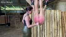 Suspended and whipped through the stable