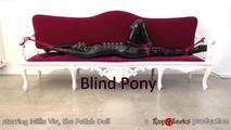 Blind Pony - Video