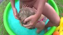 Pervert teeny Pool Play