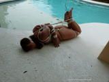 Poolside Hogtie in sunny Florida