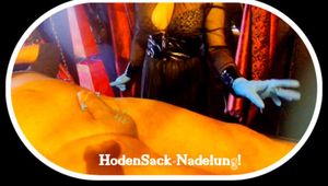 Mistress needles your scrotum!