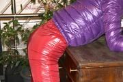 Alina tied and gagged on a commode wearing a shiny red/purple downwear combination (Pics)