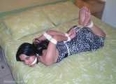 Hogtie Trouble