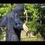 Mara wearing only a hot rain jacket and rubber boots lingering in the garden taking a shower (Video)