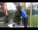 Mara wearing a black rain pants and a blue rain jacket decorating the christmas tree (Video)
