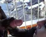 Video Public Blowjob & Handjob on a Bridge – Rubber Gloves