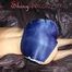 Sexy SANDRA wearing only a very hot blue shiny nylon shorts playing with a bed cloth and posing on a sofa (Pics)