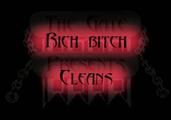 Rich Bitch Cleans