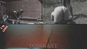 DOMINANT - DAS ERWACHEN