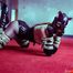 Rubber kinbaku kitten - With Amarantha LaBlanche