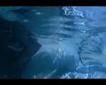 SEXY MARA wearing an oldschool blue shiny nylon shorts and an oldschool shiny nylon rain jacket swimming in the pool (Video)