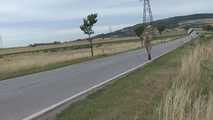 032052 Desperate Sam Takes A Roadside Pee