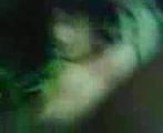 Dhaka Village bhabi outdoor sex video.