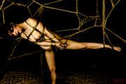 Caught in a Web Shibari Photoset (61) - EveX / SaiJaidenLillith