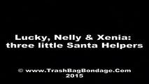 Lucky, Nelly und Xenia - Sankt Helfer auf dem Balkon (video)