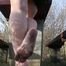 Springtime - barefoottime