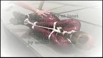 New Model - first time ever tied ! This time a Hogtie with Leather belts...