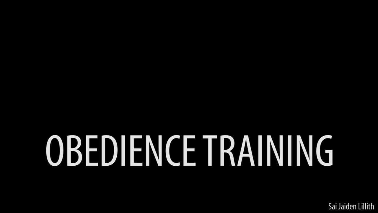 Obedience Training (Solo - BDSM Instruction)
