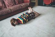 Amber hogtied in Sweater and Barefeet