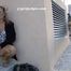 023122 Ewa Takes Her Last Pee On Gozo