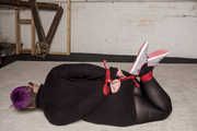 Roxie in Hogtied in Black