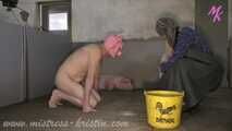 #Feeding my pigs - farmer's wife in the real barn with #humanpig and real pigs