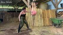 Suspended and whipped through the stable