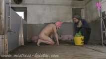 #Feeding my pigs - farmer's wife in the real barn with #humanpig and real pigs