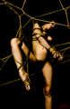 Caught in a Web Shibari Photoset (61) - EveX / SaiJaidenLillith