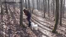 019011 Donna -Jo Takes An Emergency Pee In The Woods