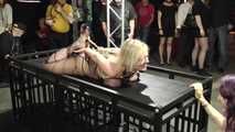 30 Minutes Hogtie Endurance Challenge - Tied in Public - Dee Williams tied by Rija Mae